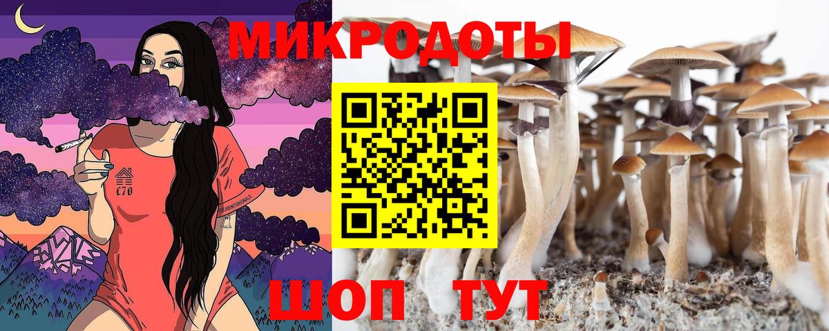 Галлюциногенные грибы GOLDEN TEACHER Ржев