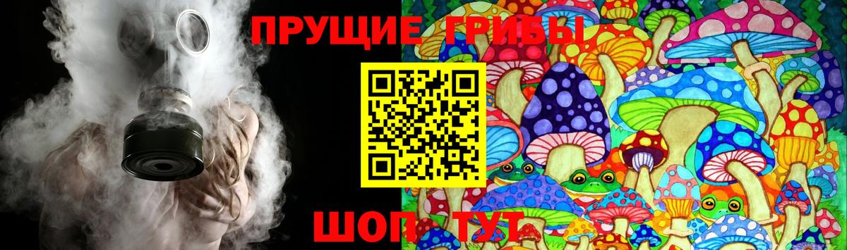 Псилоцибиновые грибы Cubensis  Вход с VPN  как найти наркотики  Ржев  Галлюциногенные грибы Magic Shrooms 