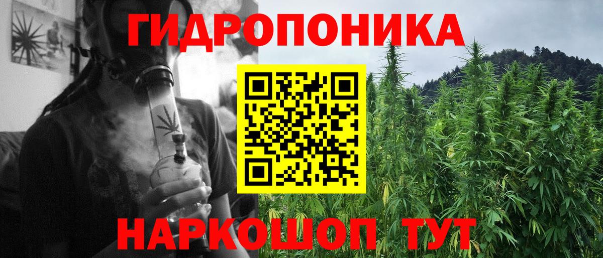 Канабис Bruce Banner Ржев